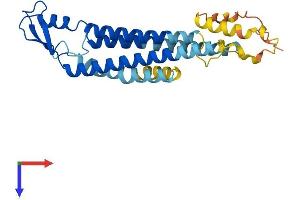 AlphaFold protein structure predicition of Mouse Recombinant Gjb5 Protein, UniprotID Q02739