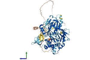 AlphaFold protein structure predicition of Human Recombinant HLCS Protein, UniprotID P50747
