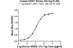 Immobilized Human LIGHT Trimer, His tag at 1 μg/mL (100 μL/well) on the plate.