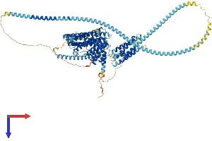 AlphaFold protein structure predicition of Human Recombinant HIP1 Protein, UniprotID O00291