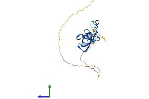 AlphaFold protein structure predicition of Mouse Recombinant Lin28b Protein, UniprotID Q45KJ6