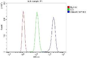 anti-DnaJ (Hsp40) Homolog, Subfamily A, Member 2 (DNAJA2) (AA 1-140) antibody