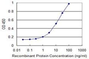Detection limit for recombinant GST tagged CLN3 is 0.