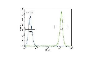ACTA1 Antibody (ABIN1536597 and ABIN2843809) flow cytometric analysis of A549 cells (right histogram) compared to a negative control cell (left histogram). (Actin anticorps)