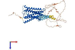 AlphaFold protein structure predicition of Human Recombinant CHRM5 Protein, UniprotID P08912