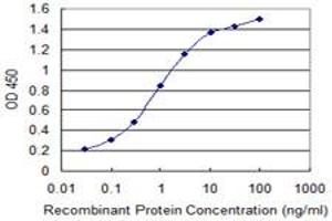 Detection limit for recombinant GST tagged IGKC is 0. (IGKC anticorps  (AA 1-236))