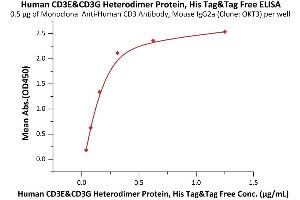 Immobilized Monoclonal A CD3 Antibody, Mouse IgG2a (Clone: OKT3) at 5 μg/mL (100 μL/well) can bind Human CD3E&CD3G Heterodimer Protein, His Tag&Tag Free (ABIN6973002) with a linear range of 0. (CD3E & CD3G (AA 23-126) (Active) protein (His tag))
