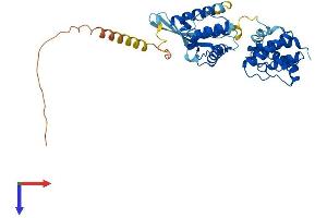 AlphaFold protein structure predicition of Human Recombinant PARVB Protein, UniprotID Q9HBI1