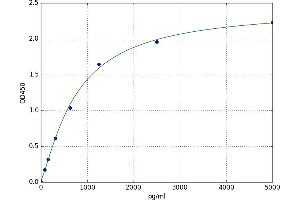 A typical standard curve (alpha Actinin 4 Kit ELISA)