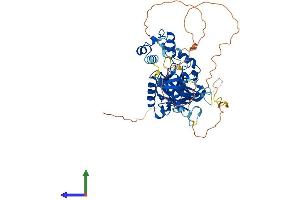 AlphaFold protein structure predicition of Human Recombinant UBP1 Protein, UniprotID Q9NZI7