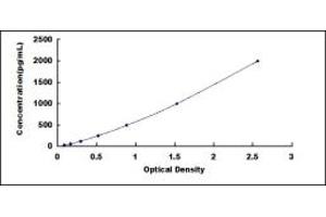 Typical standard curve (MMP2 Kit ELISA)
