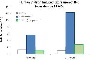 SDS-PAGE of Human Visfatin Recombinant Protein Bioactivity of Human Visfatin Recombinant Protein. (NAMPT Protéine)
