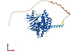 AlphaFold protein structure predicition of Human Recombinant ETNK1 Protein, UniprotID Q9HBU6