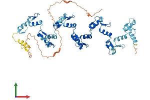 AlphaFold protein structure predicition of Human Recombinant ZNF83 Protein, UniprotID P51522
