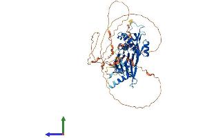 AlphaFold protein structure predicition of Human Recombinant PPM1D Protein, UniprotID O15297