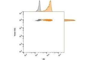 Flow cytometric analysis of bead-bound exosomes derived from MCF-7 cells.
