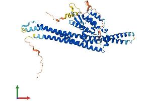 AlphaFold protein structure predicition of Mouse Recombinant Snx8 Protein, UniprotID Q8CFD4