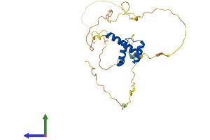 AlphaFold protein structure predicition of Human Recombinant GSX1 Protein, UniprotID Q9H4S2