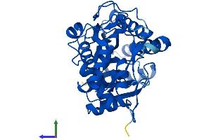 AlphaFold protein structure predicition of Human Recombinant GALE Protein, UniprotID Q14376