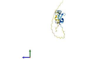AlphaFold protein structure predicition of Human Recombinant LIMD2 Protein, UniprotID Q9BT23