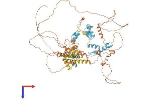 AlphaFold protein structure predicition of Human Recombinant ZBTB20 Protein, UniprotID Q9HC78