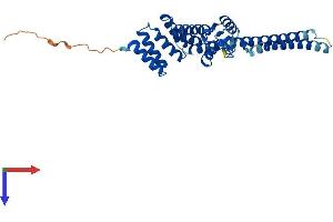 AlphaFold protein structure predicition of Mouse Recombinant Stub1 Protein, UniprotID Q9WUD1