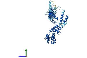 AlphaFold protein structure predicition of Human Recombinant RMND5A Protein, UniprotID Q9H871