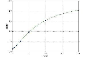 Aralkylamine N-Acetyltransferase (AANAT) ELISA Kit