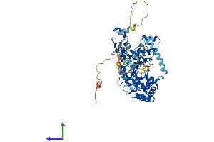 AlphaFold protein structure predicition of Human Recombinant BIRC2 Protein, UniprotID Q13490