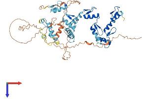 AlphaFold protein structure predicition of Human Recombinant ZNF671 Protein, UniprotID Q8TAW3