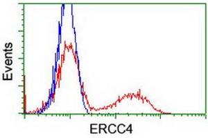Flow Cytometry (FACS) image for anti-Excision Repair Cross-Complementing Rodent Repair Deficiency, Complementation Group 4 (ERCC4) antibody (ABIN1498071) (ERCC4 anticorps)