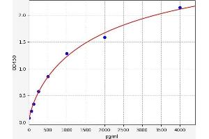 Procollagen I C-Terminal Propeptide (PICP) ELISA Kit