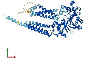 AlphaFold protein structure predicition of Mouse Recombinant Gdpd2 Protein, UniprotID Q9ESM6