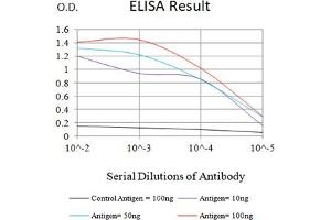 Black line: Control Antigen (100 ng),Purple line: Antigen (10 ng), Blue line: Antigen (50 ng), Red line:Antigen (100 ng) (FGF2 anticorps  (AA 189-288))