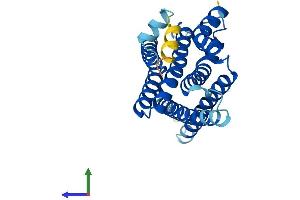 AlphaFold protein structure predicition of Mouse Recombinant Aph1b Protein, UniprotID Q8C7N7
