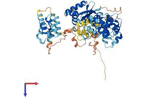 AlphaFold protein structure predicition of Human Recombinant FASTK Protein, UniprotID Q14296