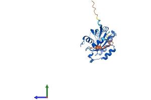 AlphaFold protein structure predicition of Human Recombinant RAB6B Protein, UniprotID Q9NRW1