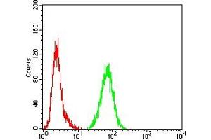 Flow cytometric analysis of Hela cells using S100B mouse mAb (green) and negative control (red).