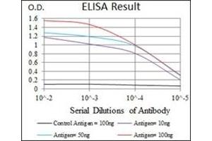 ELISA image for anti-CCAAT/enhancer Binding Protein (C/EBP), alpha (CEBPA) antibody (ABIN1106664) (CEBPA anticorps)