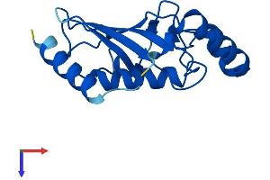 AlphaFold protein structure predicition of Human Recombinant UBE2L3 Protein, UniprotID P68036