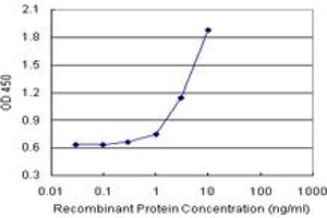 Sandwich ELISA detection sensitivity ranging from 1 ng/mL to 100 ng/mL. (IL15 (Humain) Matched Antibody Pair)