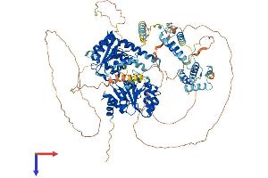 AlphaFold protein structure predicition of Human Recombinant RECQL5 Protein, UniprotID O94762