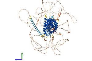 AlphaFold protein structure predicition of Human Recombinant PKP4 Protein, UniprotID Q99569
