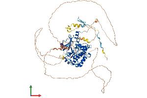 AlphaFold protein structure predicition of Human Recombinant PAK5 Protein, UniprotID Q9P286