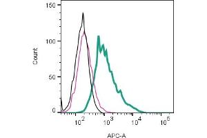 Cell surface detection of β2-Adrenergic Receptor by direct flow cytometry in live intact mouse J774 macrophage cell line: + Rabbit IgG isotype control-APC (ABIN7582043).