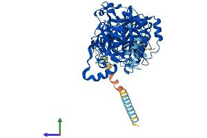 AlphaFold protein structure predicition of Human Recombinant GALNT13 Protein, UniprotID Q8IUC8