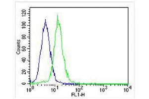 Overlay histogram showing Hela cells stained with (ABIN655391 and ABIN2844939) (green line).