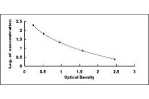 Image no. 1 for Prolactin (PRL) ELISA Kit (ABIN1873398)