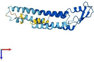 AlphaFold protein structure predicition of Human Recombinant GJB2 Protein, UniprotID P29033