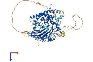 AlphaFold protein structure predicition of Mouse Recombinant Smpd3 Protein, UniprotID Q9JJY3
